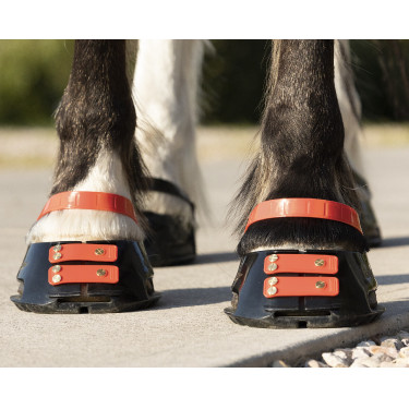 Pacco di cinghie anteriori Scoot Boots Pacco di cinghie anteriori Scoot Boots
