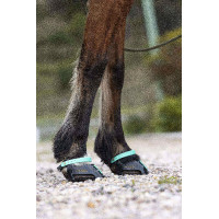 Pacco di cinghie anteriori Scoot Boots Acquamarina Blu