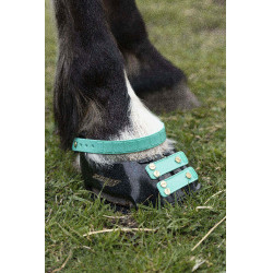 Pacco di cinghie anteriori Scoot Boots Acquamarina Blu
