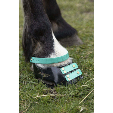 Pacco di cinghie anteriori Scoot Boots Pacco di cinghie anteriori Scoot Boots