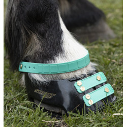 Pacco di cinghie anteriori Scoot Boots Acquamarina Blu