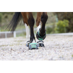Pacco di cinghie anteriori Scoot Boots Acquamarina Blu