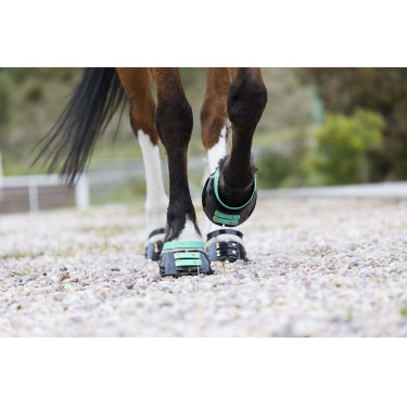Pacco di cinghie anteriori Scoot Boots Pacco di cinghie anteriori Scoot Boots