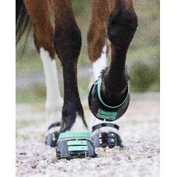 Pacco di cinghie anteriori Scoot Boots Acquamarina Blu