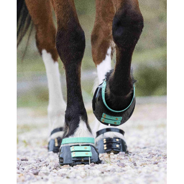 Pacco di cinghie anteriori Scoot Boots Pacco di cinghie anteriori Scoot Boots
