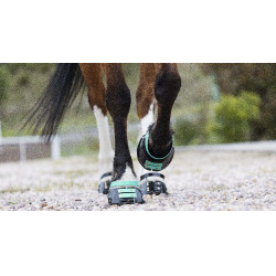 Pacco di cinghie anteriori Scoot Boots Acquamarina Blu