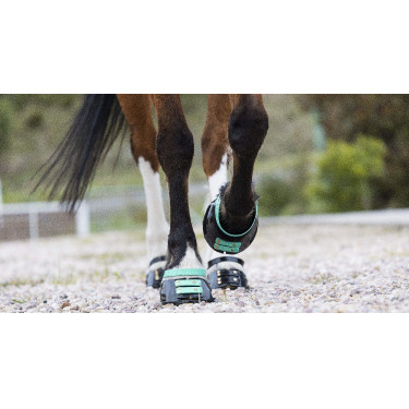 Pacco di cinghie anteriori Scoot Boots Pacco di cinghie anteriori Scoot Boots