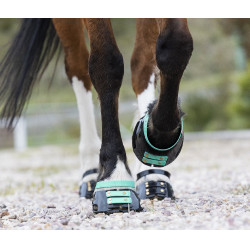 Pacco di cinghie anteriori Scoot Boots Acquamarina Blu