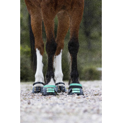 Pacco di cinghie anteriori Scoot Boots Acquamarina Blu