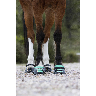 Pacco di cinghie anteriori Scoot Boots Pacco di cinghie anteriori Scoot Boots