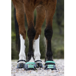 Pacco di cinghie anteriori Scoot Boots Acquamarina Blu