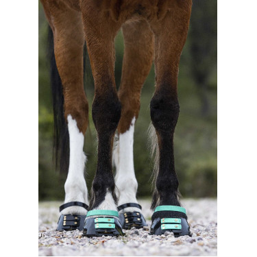 Pacco di cinghie anteriori Scoot Boots Pacco di cinghie anteriori Scoot Boots