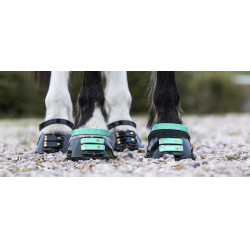 Pacco di cinghie anteriori Scoot Boots Acquamarina Blu