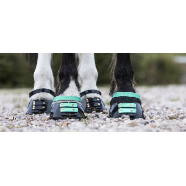 Pacco di cinghie anteriori Scoot Boots Pacco di cinghie anteriori Scoot Boots