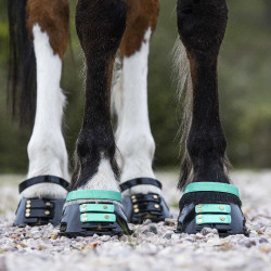 Pacco di cinghie anteriori Scoot Boots Acquamarina Blu