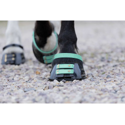 Pacco di cinghie anteriori Scoot Boots Acquamarina Blu