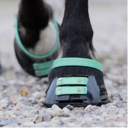 Pacco di cinghie anteriori Scoot Boots Acquamarina Blu