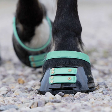 Pacco di cinghie anteriori Scoot Boots Pacco di cinghie anteriori Scoot Boots