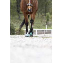 Pacco di cinghie anteriori Scoot Boots Acquamarina Blu