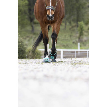 Pacco di cinghie anteriori Scoot Boots Pacco di cinghie anteriori Scoot Boots