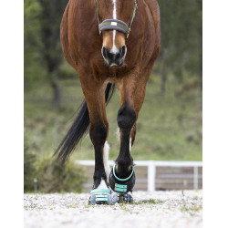 Pacco di cinghie anteriori Scoot Boots Acquamarina Blu