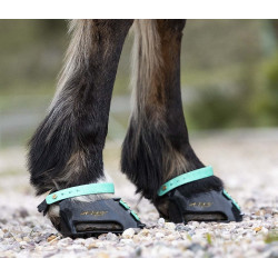 Pacco di cinghie anteriori Scoot Boots Acquamarina Blu