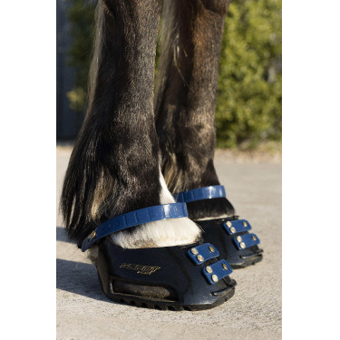 Pacco di cinghie anteriori Scoot Boots Blu navy Pacco di cinghie anteriori Scoot Boots Blu navy