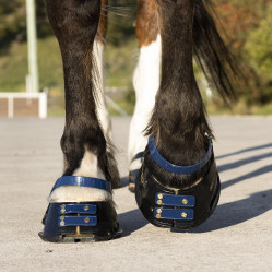 Pacco di cinghie anteriori Scoot Boots Blu navy Pacco di cinghie anteriori Scoot Boots Blu navy