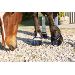 Pacco di cinghie anteriori Scoot Boots Blu navy Pacco di cinghie anteriori Scoot Boots Blu navy