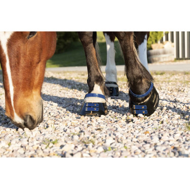Pacco di cinghie anteriori Scoot Boots Blu navy Pacco di cinghie anteriori Scoot Boots Blu navy