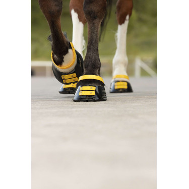 Pacco di cinghie anteriori Scoot Boots Calendula Giallo Pacco di cinghie anteriori Scoot Boots Calendula Giallo
