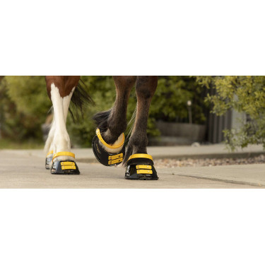 Pacco di cinghie anteriori Scoot Boots Calendula Giallo Pacco di cinghie anteriori Scoot Boots Calendula Giallo