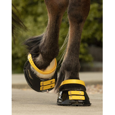 Pacco di cinghie anteriori Scoot Boots Calendula Giallo Pacco di cinghie anteriori Scoot Boots Calendula Giallo