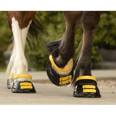 Pacco di cinghie anteriori Scoot Boots Calendula Giallo Pacco di cinghie anteriori Scoot Boots Calendula Giallo