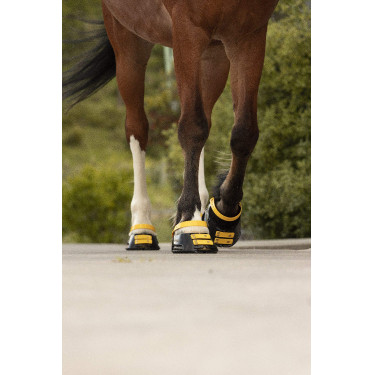 Pacco di cinghie anteriori Scoot Boots Calendula Giallo Pacco di cinghie anteriori Scoot Boots Calendula Giallo