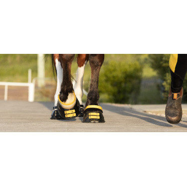 Pacco di cinghie anteriori Scoot Boots Calendula Giallo Pacco di cinghie anteriori Scoot Boots Calendula Giallo