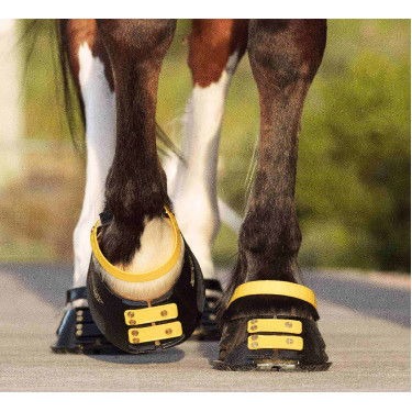 Pacco di cinghie anteriori Scoot Boots Calendula Giallo Pacco di cinghie anteriori Scoot Boots Calendula Giallo