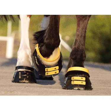 Pacco di cinghie anteriori Scoot Boots Calendula Giallo Pacco di cinghie anteriori Scoot Boots Calendula Giallo