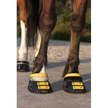 Pacco di cinghie anteriori Scoot Boots Calendula Giallo Pacco di cinghie anteriori Scoot Boots Calendula Giallo