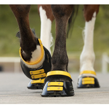 Pacco di cinghie anteriori Scoot Boots Calendula Giallo Pacco di cinghie anteriori Scoot Boots Calendula Giallo