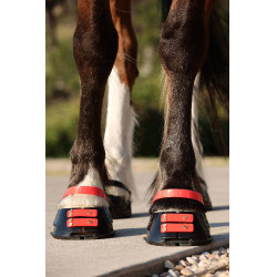 Cinghie per pastorale Scoot Boots confezione da 4 Ibisco Rosso