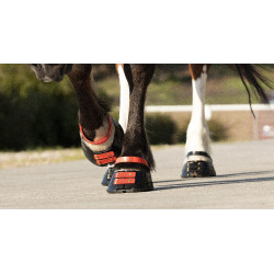 Cinghie per pastorale Scoot Boots confezione da 4 Ibisco Rosso