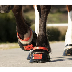 Cinghie per pastorale Scoot Boots confezione da 4 Ibisco Rosso