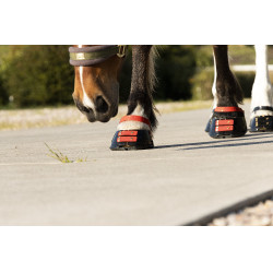 Cinghie per pastorale Scoot Boots confezione da 4 Ibisco Rosso