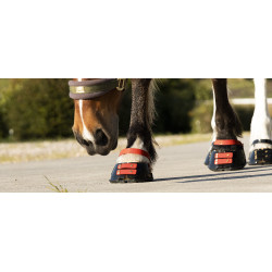 Cinghie per pastorale Scoot Boots confezione da 4 Ibisco Rosso