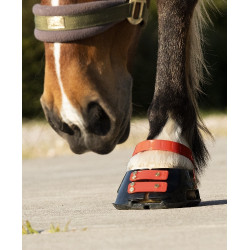 Cinghie per pastorale Scoot Boots confezione da 4 Ibisco Rosso