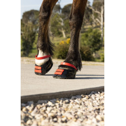 Cinghie per pastorale Scoot Boots confezione da 4 Ibisco Rosso