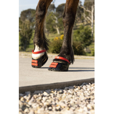 Cinghie per pastorale Scoot Boots confezione da 4 Ibisco Rosso Cinghie per pastorale Scoot Boots confezione da 4 Ibisco Rosso