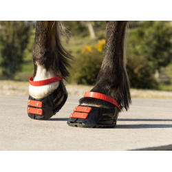 Cinghie per pastorale Scoot Boots confezione da 4 Ibisco Rosso