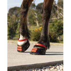Cinghie per pastorale Scoot Boots confezione da 4 Ibisco Rosso